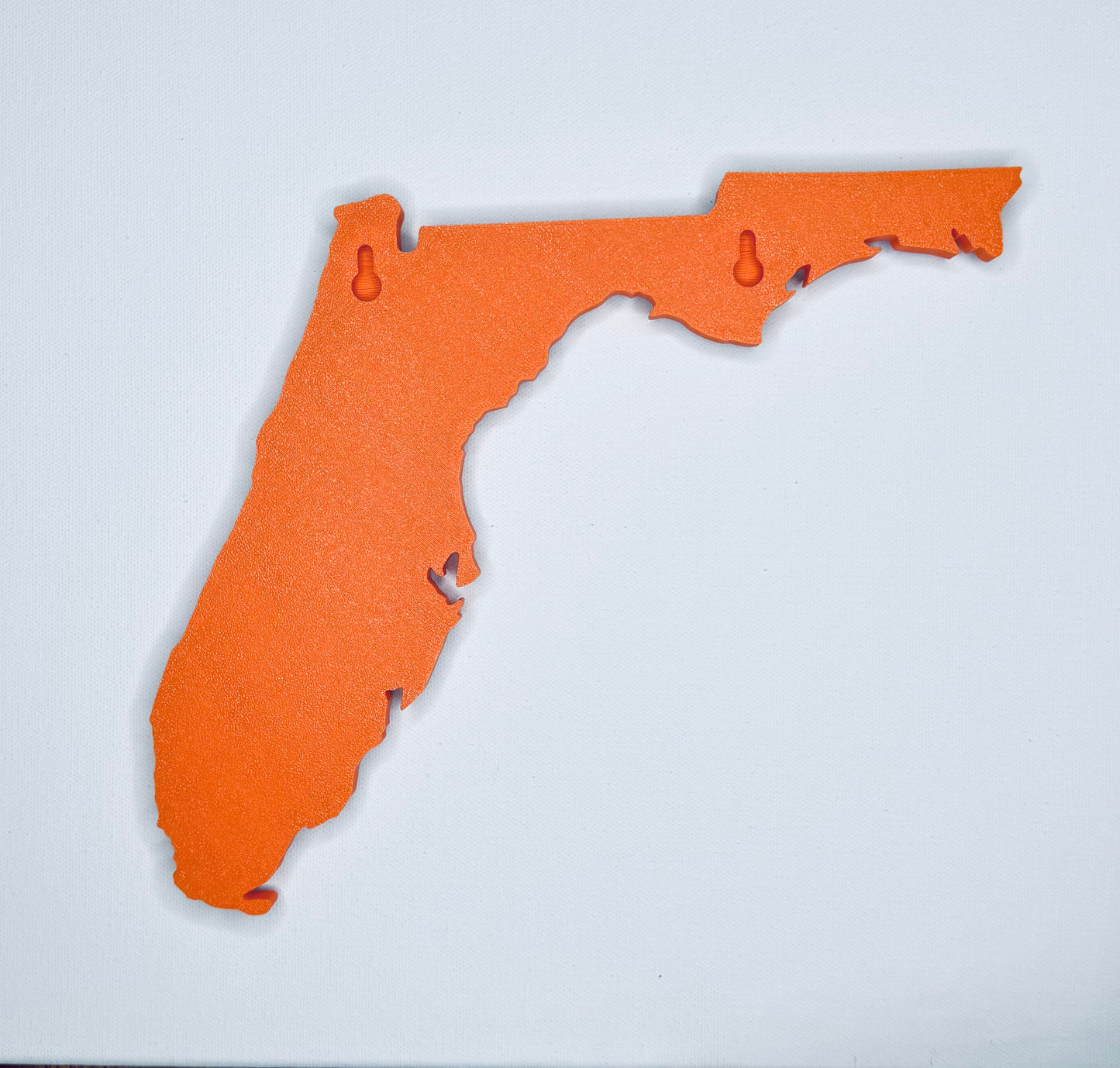Florida Gators Home Wall Decor